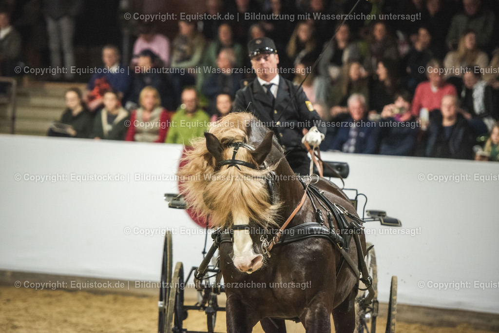 20240302_Hengstvorstellung_Marbach_TOMsPiC_0591 | equistock