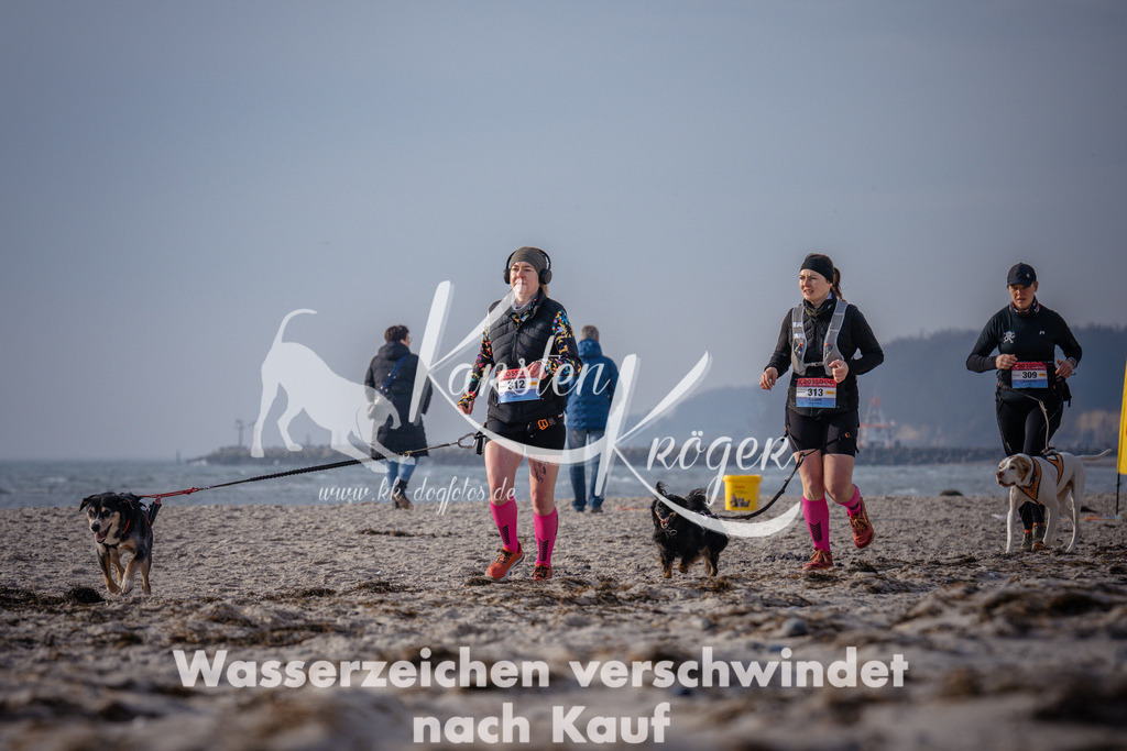 1005_ZZ93925 | kk-dogfotos