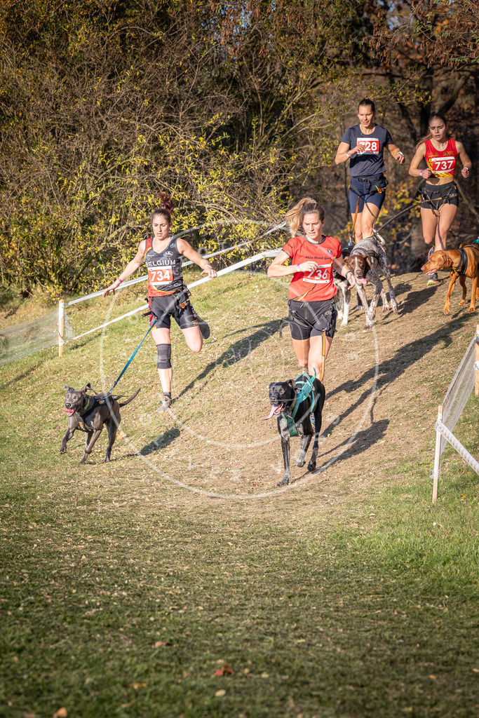 CaniXpix_0L8A9780 | Hundefotografie, Tierfotograf, Pfotenfotografie, Fotoshooting Hund, Hunde Portrait, Hundesport, Hundeportraits, Heideshooting, Hunde, Sportfotograf, Hundefotograf, Turnierhundsport, THS,  - Realisiert mit Pictrs.com