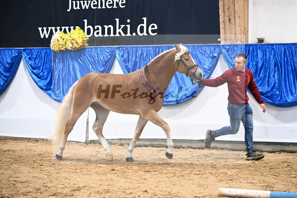 Kat-Nr. 34 nn v. Starino I_Grimminger_48251813 | hf-fotografie - Realisiert mit Pictrs.com