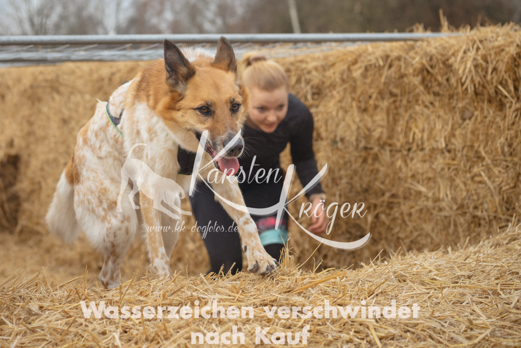0951_ZZ90459 | kk-dogfotos