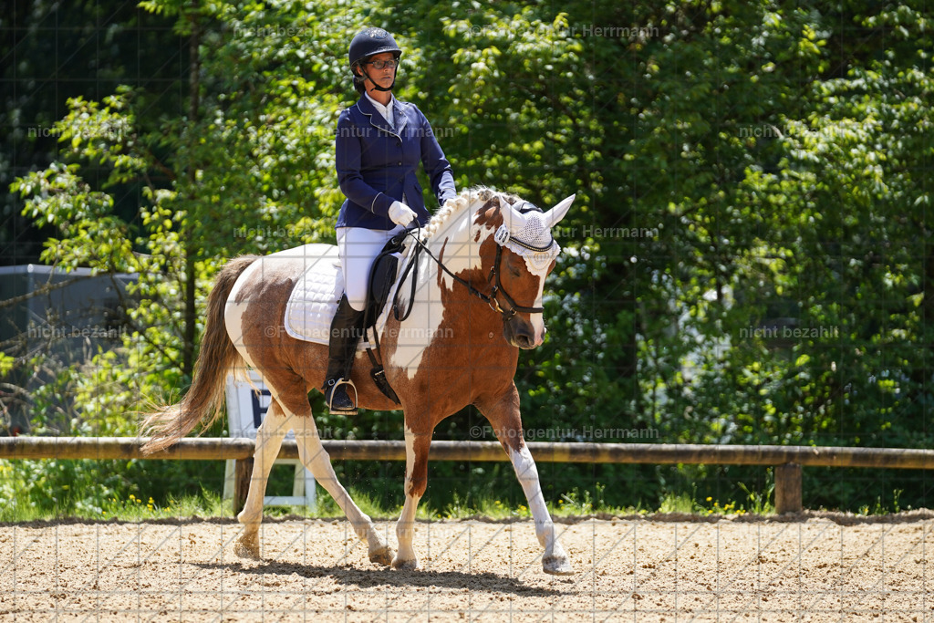 20240705-FAH04173 | Turnierbilder von Grafing, Reitsportbilder, Turnierfotos, Turnierfotografen Bayern, Pferdefotograf, Fotoagentur Herrmann