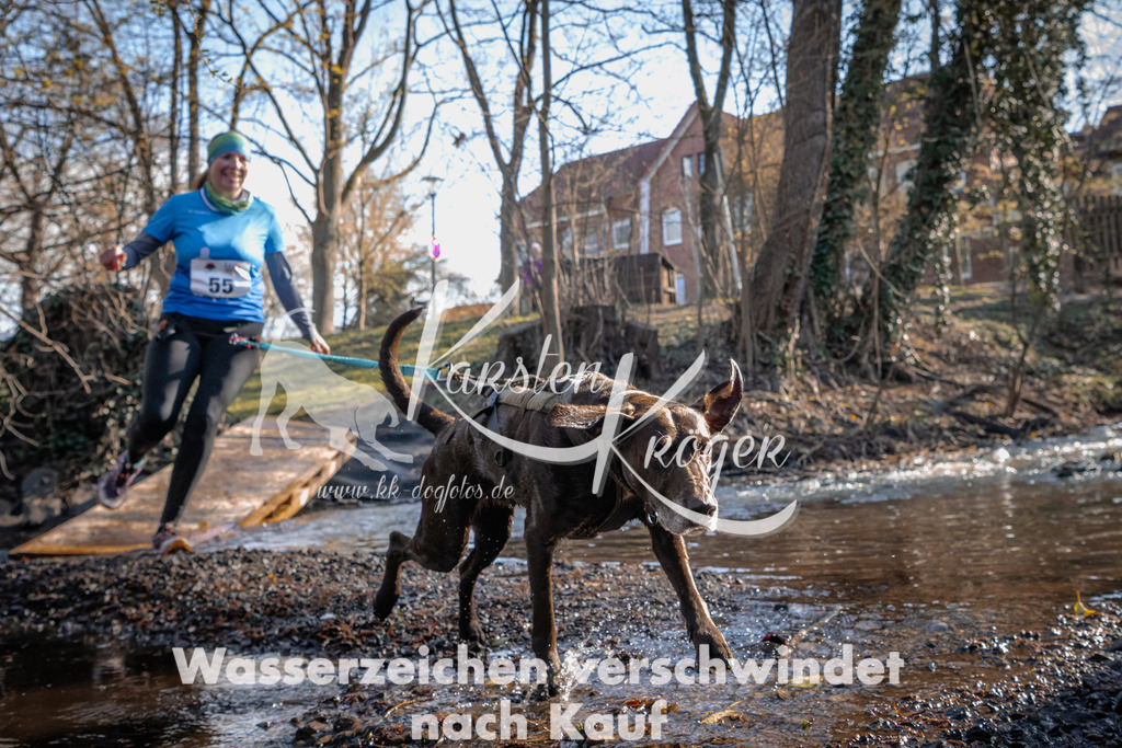 0837_ZZ92528 | kk-dogfotos