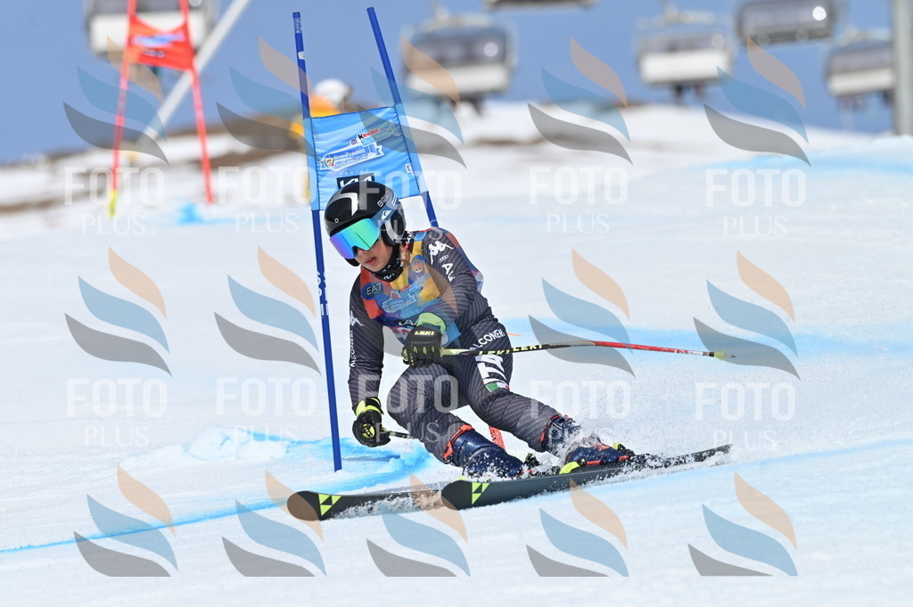 BGV_1028 | holidayphoto