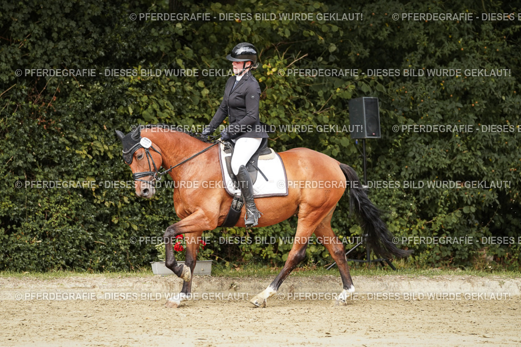 DSC01706 | Pferdegrafie