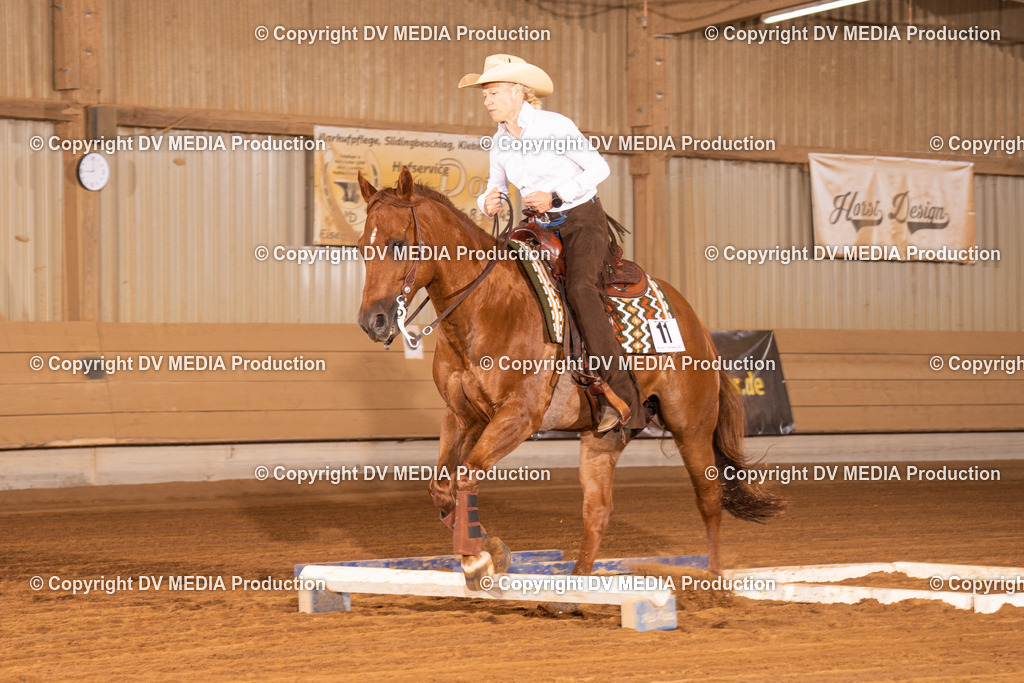 NID01176 | dv-media-shop - Realisiert mit Pictrs.com