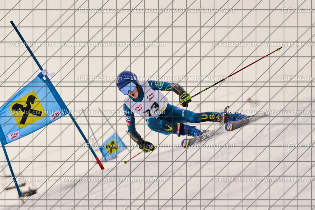 ALP8877_Herrn-FIS-GS-I_Lackenhof-WY_Dohr Matteo | Hochzeitsfotograf mit dem Blick für´s Wesentliche, Firmung, Erstkommunion, Firmenfeiern, Sportfotoservice, Reproduktionen, Konzertfotografie, Pressefotografie, Luftbildfotografie, Innenarchitektur, Werbefotografie, Sponsoren-Livebildfotografie.