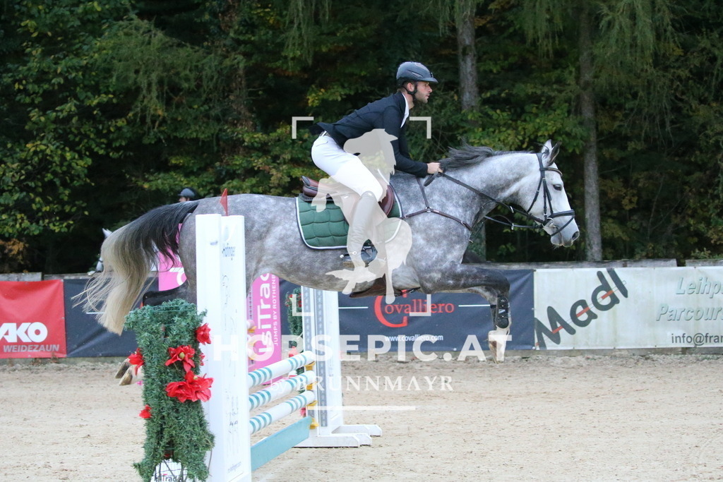 DL2Q3671 | Willkommen bei Brunnmayr - Design & Fotografie – Ihrem Spezialisten für Reitturniere und Pferdeveranstaltungen in Oberösterreich, Salzburg und Bayern! Seit über 17 Jahren sind wir leidenschaftlich dabei.
