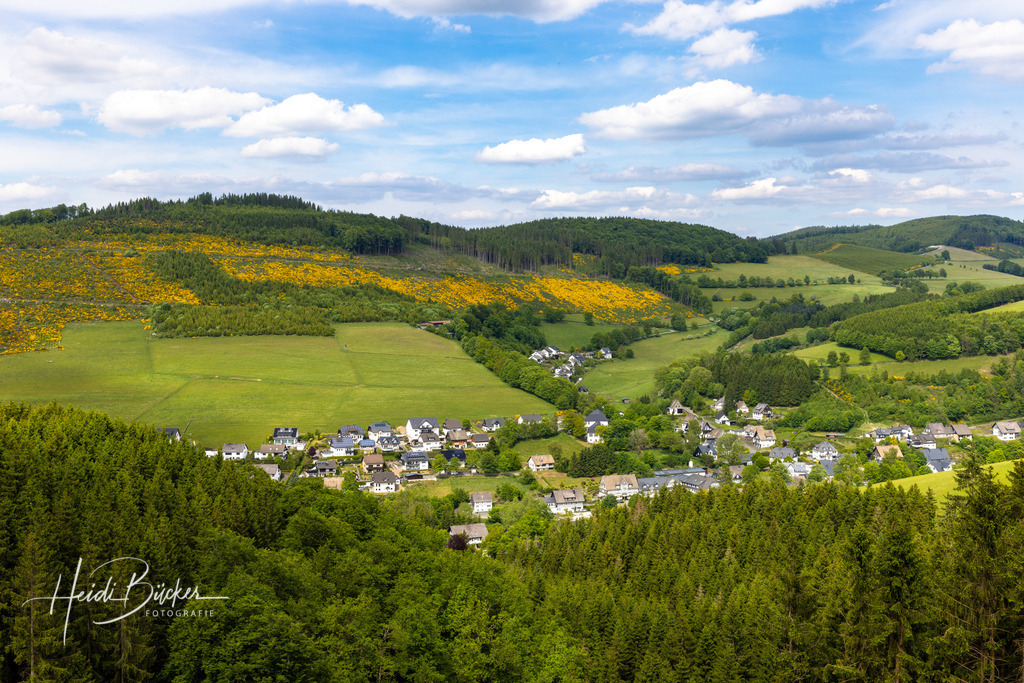 Westfeld und Umgebung 026 | Bilder und Impressionen zu jeder Jahreszeit aus dem Sauerland im Naturpark Sauerland-Rothaargebirge - Realisiert mit Pictrs.com