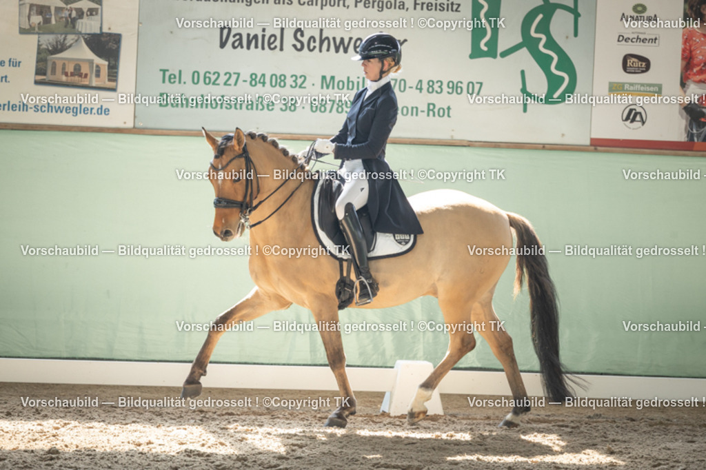 _D5A1766 | Emotionale Pferde- & People-Fotografie rund um Heidelberg, Leimen & Umgebung. Natürliche Fotos von Pferd, Mensch & Familie. Jetzt Termin sichern!