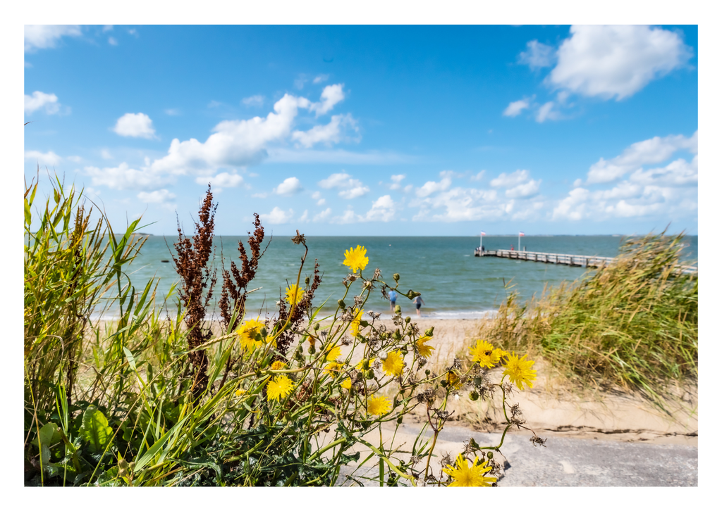 Motiv 44 | Eilun-Art-Fotografie Levke Martens, ihre Fotografin für Immobilien- und Landschaftsfotografie auf Föhr, Föhrer Motive als Poster, Leinwand, hinter Acrylglas oder stelle dir deinen eigenen Monatskalender zusammen, mit nur einem Klick