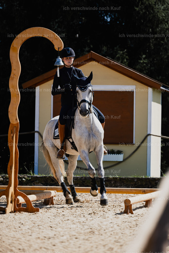 Svea13FHC2025-27378 | working equitationturnier fotograf videograf stoibphotography marixx film working equitation deutschland reitsport turnierfotografie eventfotografie equestrian events