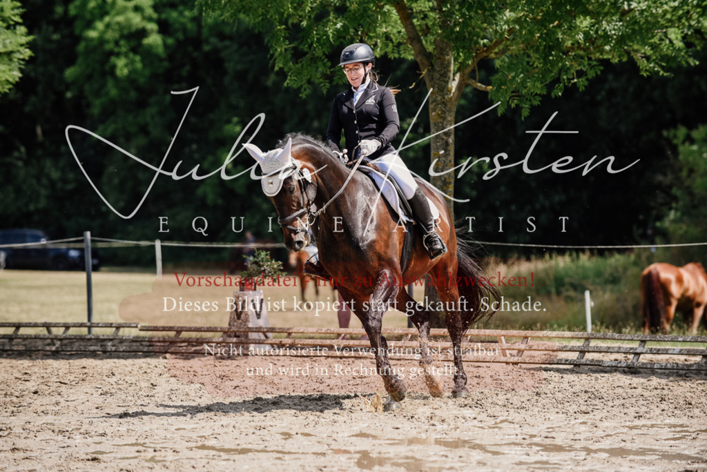 DSC_1084 | Pferde- und Turnierfotografie in Westsachsen. Pferdeportraits, Auftragszeichnungen und intuitive Kunst.