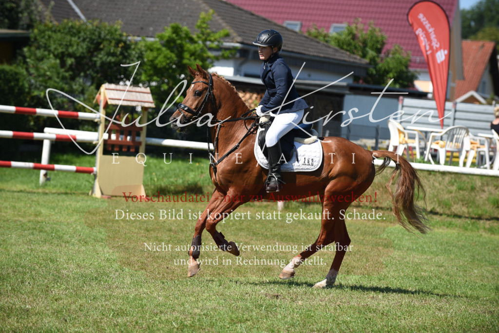 DSC_9301 | Pferde- und Turnierfotografie in Westsachsen. Pferdeportraits, Auftragszeichnungen und intuitive Kunst.