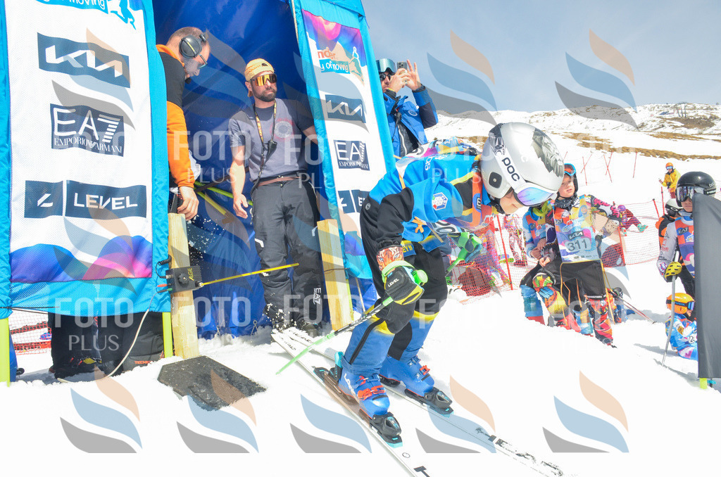 _ELE6993 | holidayphoto