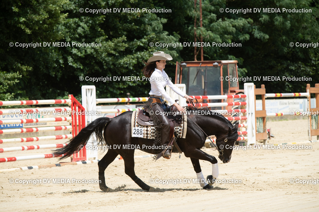 ZS3_9999 | dv-media-shop - Realisiert mit Pictrs.com