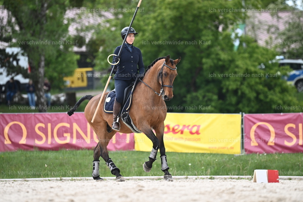 PI26_ST_Sara_Landvogt226_3218.JPG | working equitationturnier fotograf videograf stoibphotography marixx film working equitation deutschland reitsport turnierfotografie eventfotografie equestrian events