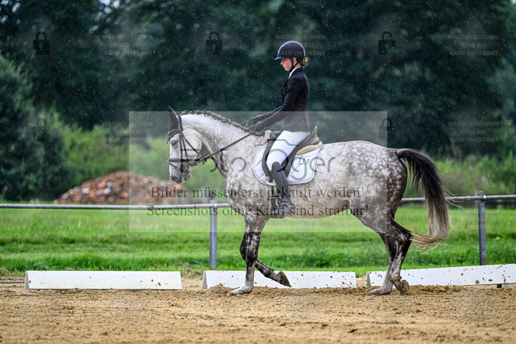 Reitturnier Hasbergen | Entdecke hochwertige Reitturnierfotos von Foto Oger. Professionell, emotional und authentisch – jetzt Lieblingsmomente im Shop bestellen. - Realisiert mit Pictrs.com