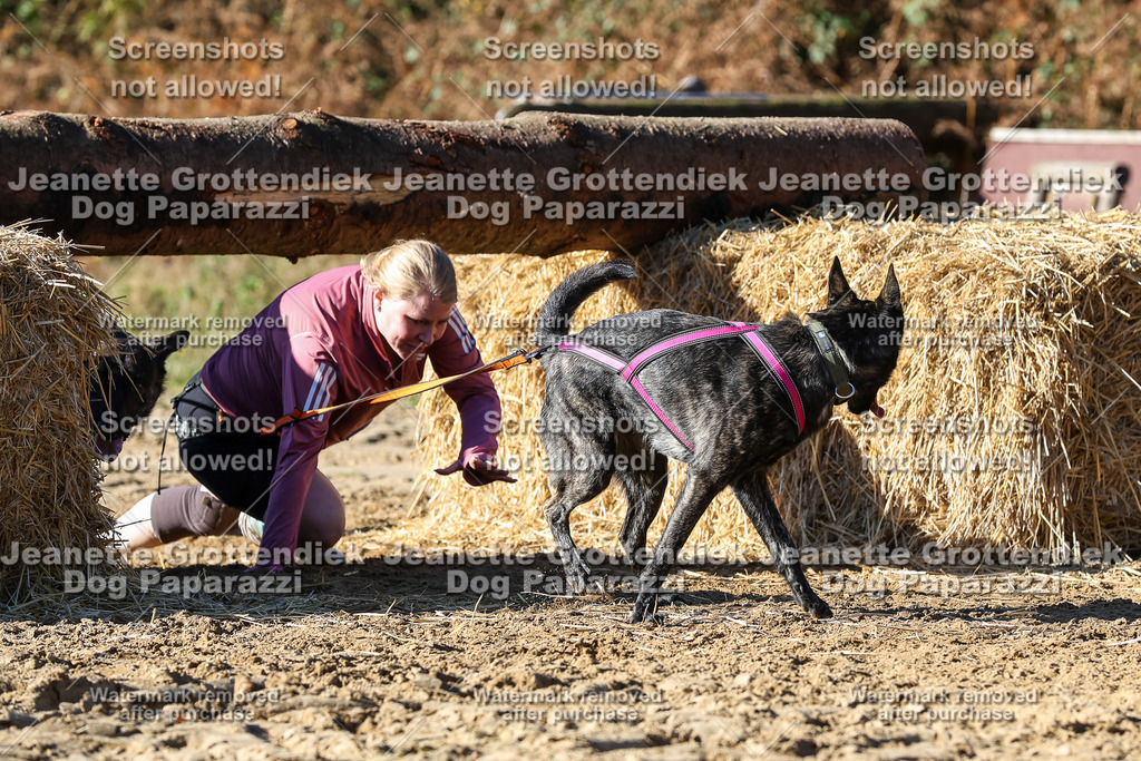 Dog Paparazzi - Strongdog 10-25-2596 | Dog Paparazzi Jeanette Grottendiek Fotografie & Videografie - Realisiert mit Pictrs.com