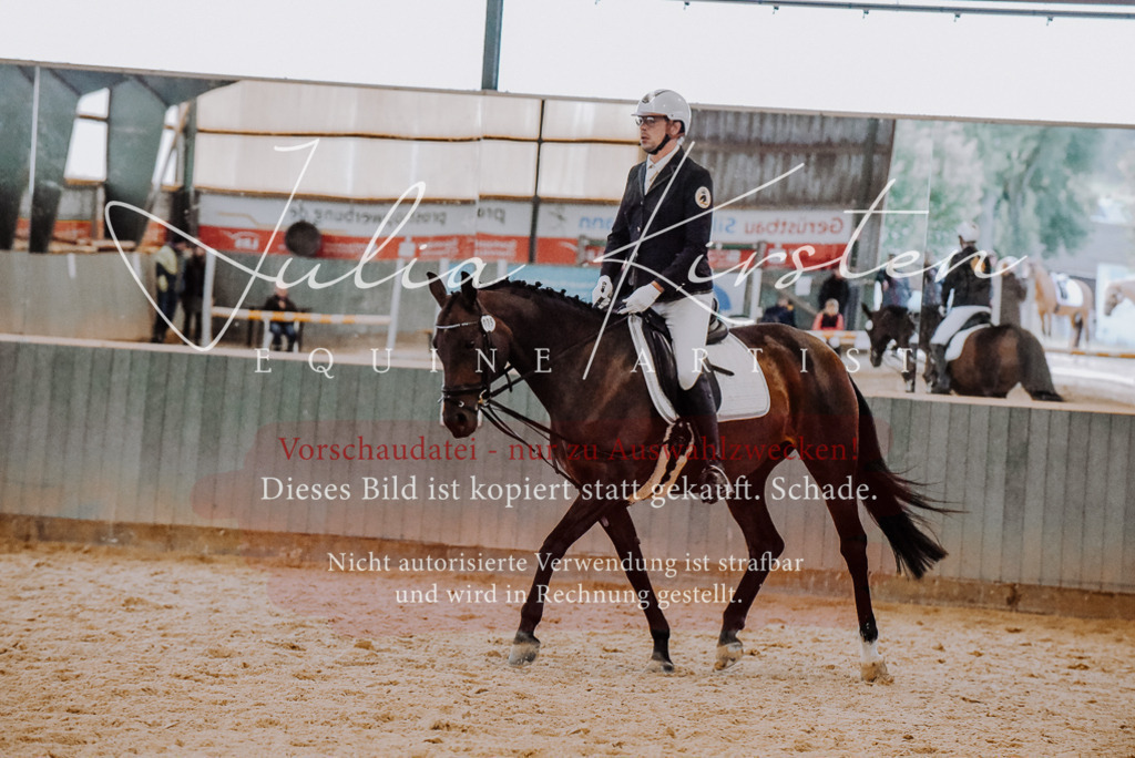 DSC_7700 | Pferde- und Turnierfotografie in Westsachsen. Pferdeportraits, Auftragszeichnungen und intuitive Kunst.