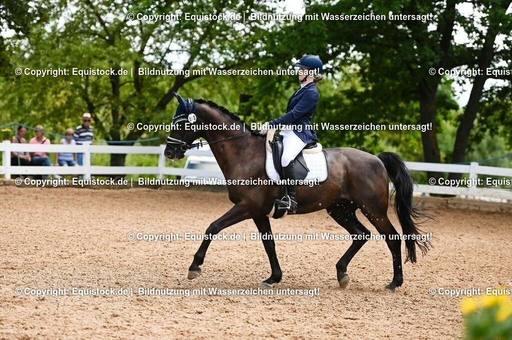 20230716_03_Dressurprfg. Kl.L - Tr._0615 | equistock