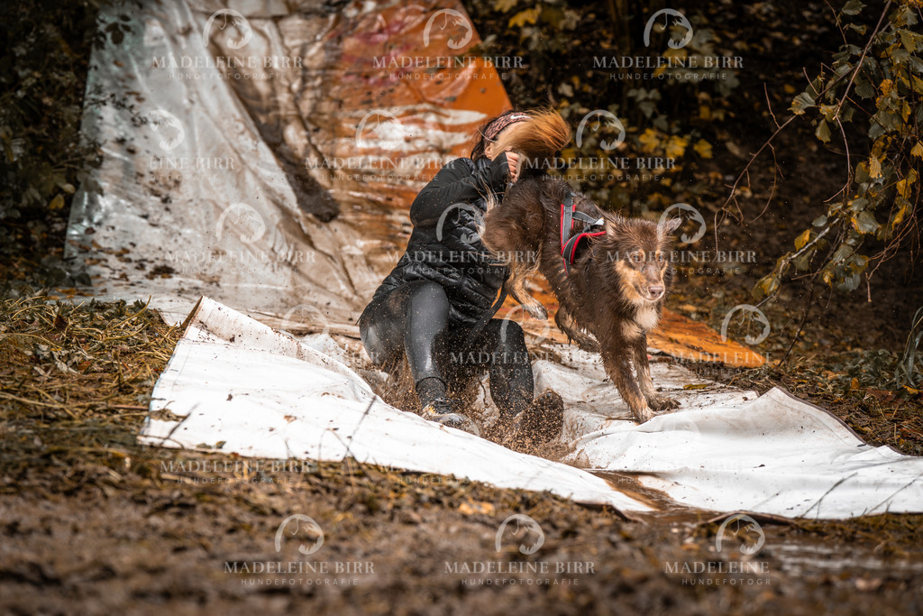 madeleinebirr-fotografie2025.campcanis.sa.13-14Uhr-46 | hundefotografie-birr