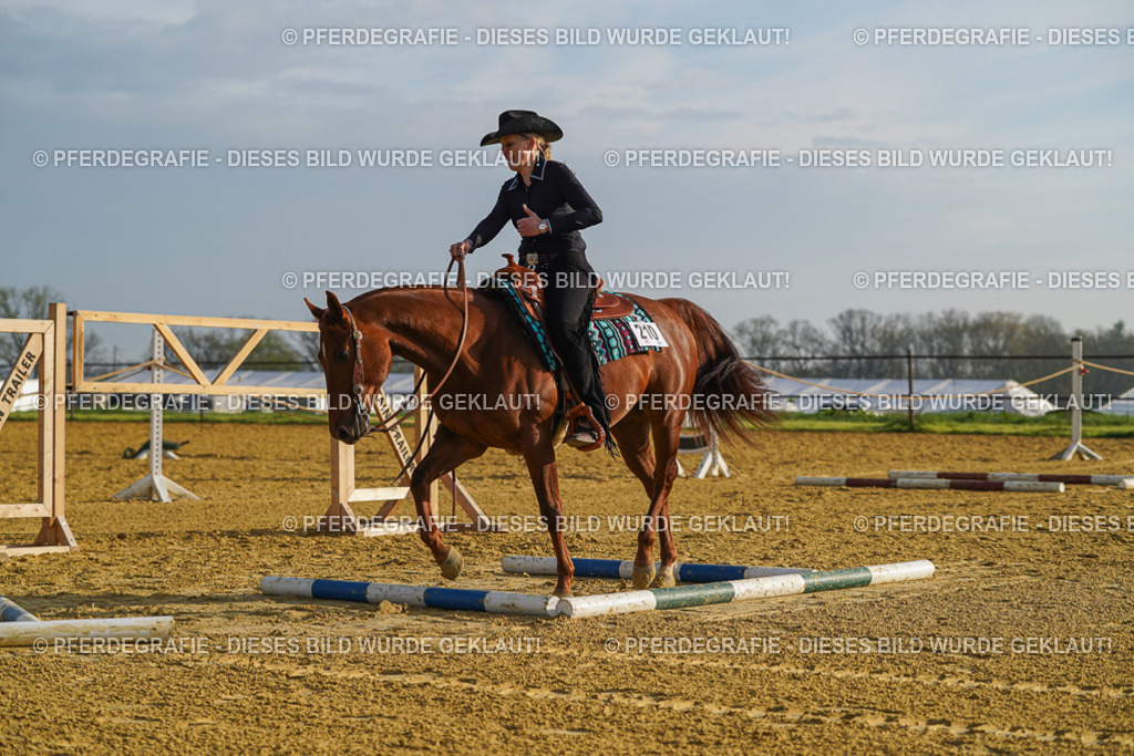 DSC00163 | Pferdegrafie