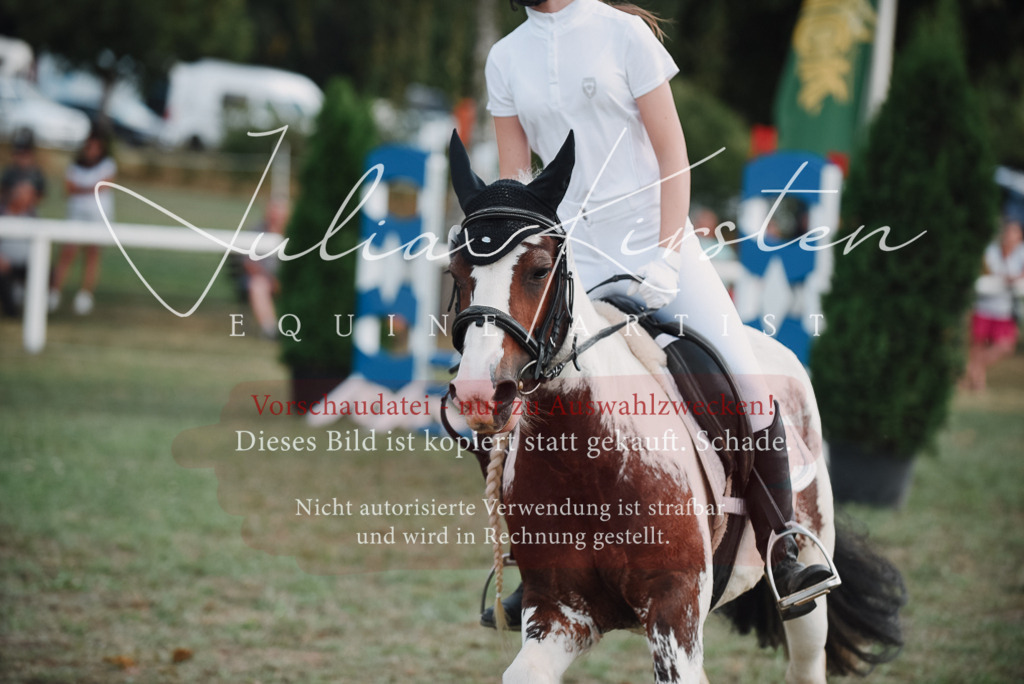 DSC_5603 | Pferde- und Turnierfotografie in Westsachsen. Pferdeportraits, Auftragszeichnungen und intuitive Kunst.