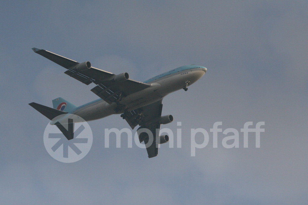Korean Air | Online-Shop | monipfaff.de - Realisiert mit Pictrs.com