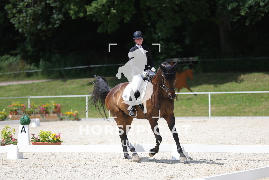 0P6A1320 | Willkommen bei Brunnmayr - Design & Fotografie – Ihrem Spezialisten für Reitturniere und Pferdeveranstaltungen in Oberösterreich, Salzburg und Bayern! Seit über 17 Jahren sind wir leidenschaftlich dabei.