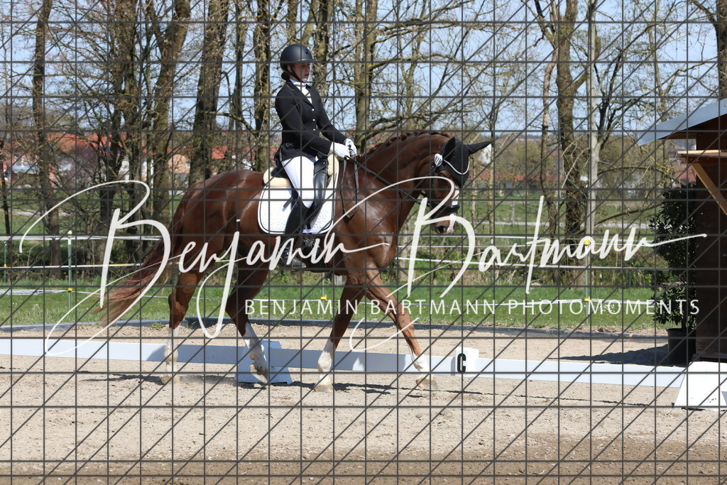 AZ2A4298 | Benjamin Bartmann Photomoments