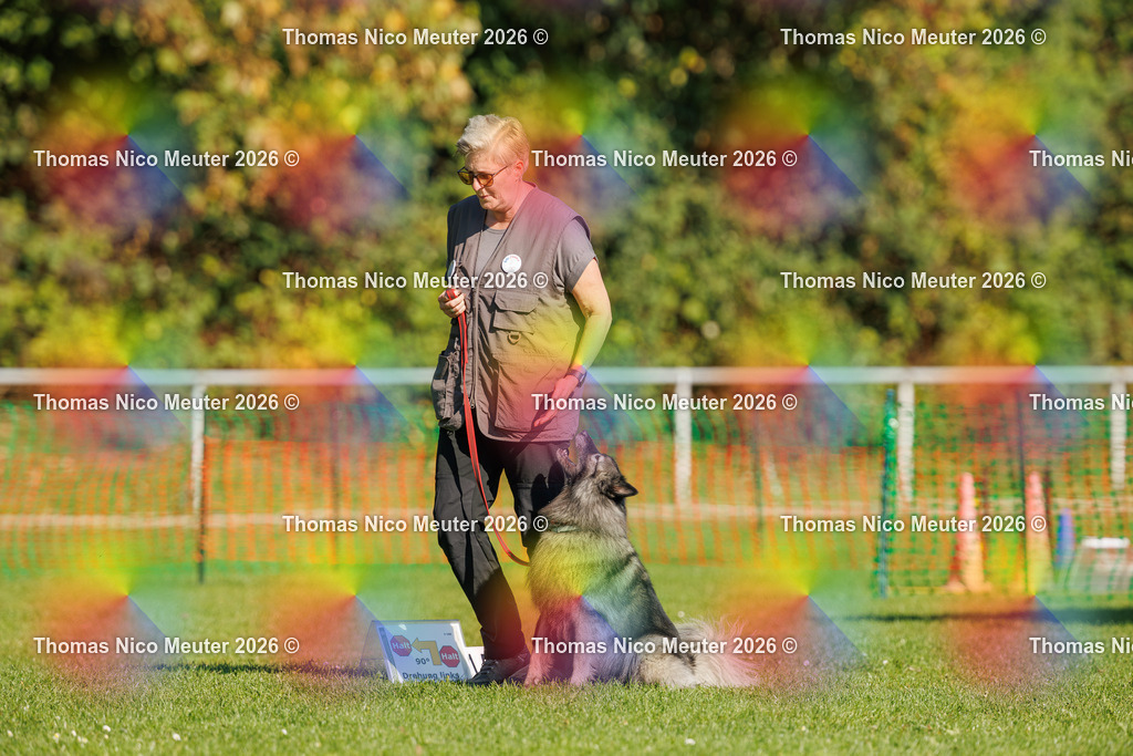 Thomas_Nico_Meuter(C)_04. Oktober 2026_223A2111 | Bild von Thomas Nico Meuter - Realisiert mit Pictrs.com