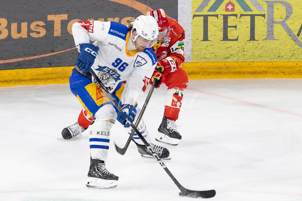 EHCB vs EVZ 20260227_WB-7452 | Sportbilder, Sportfotograf, Hochzeits- und Eventfotografin, Flugshows, Portraits und Tiershooting, Aviation, Downhill, Nationalleague, Swissleague, International