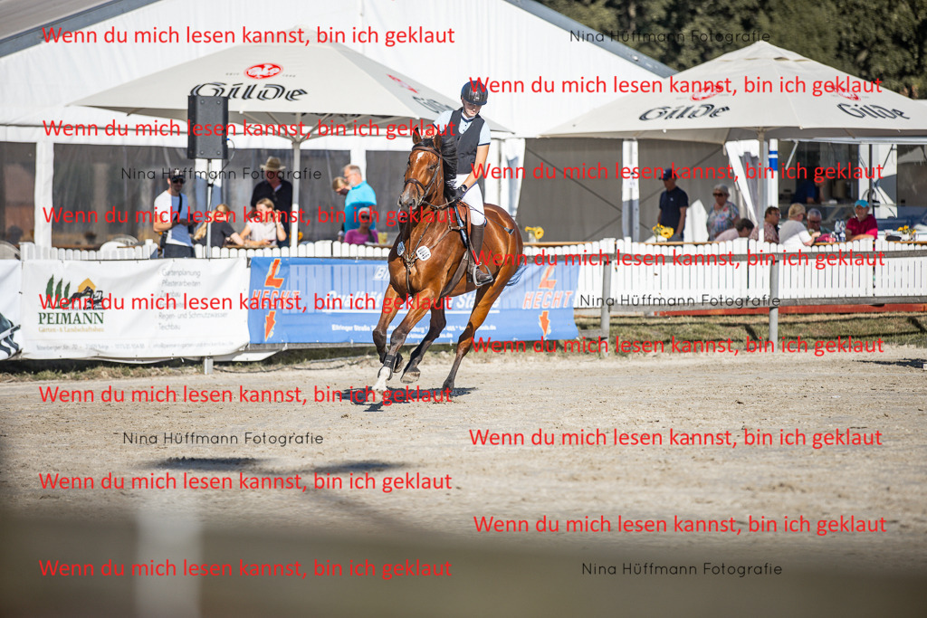 BK1A7598 | Turnierbilder Turnierfotos Nina Hüffmann Turnierfotografie Pferdefotografie Tierzeichnung Haustierzeichnung Pferdezeichnung Hundezeichnung Videograf  - Realisiert mit Pictrs.com