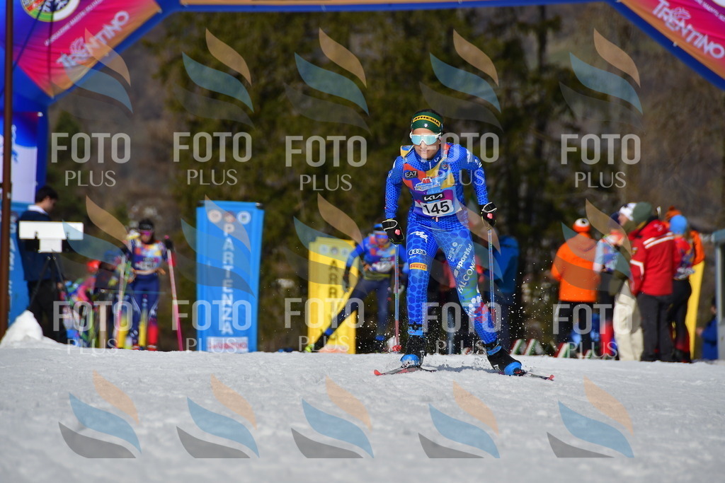 _DSC0169 | holidayphoto