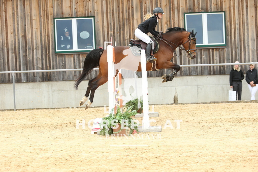 DL2Q2010 | Willkommen bei Brunnmayr - Design & Fotografie – Ihrem Spezialisten für Reitturniere und Pferdeveranstaltungen in Oberösterreich, Salzburg und Bayern! Seit über 17 Jahren sind wir leidenschaftlich dabei.