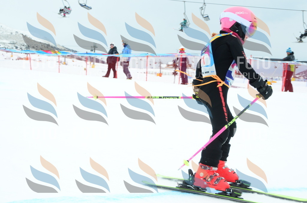 DSC_0710 | holidayphoto