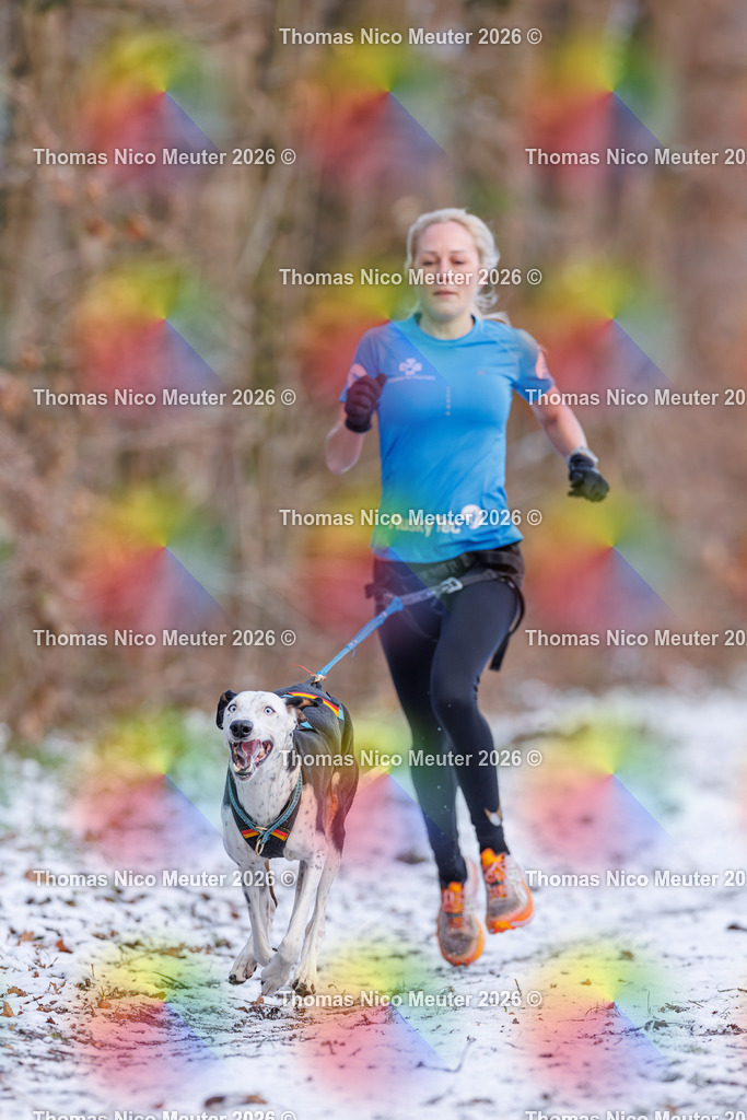 Thomas_Nico_Meuter(C)_223A8168 | Bild von Thomas Nico Meuter - Realisiert mit Pictrs.com