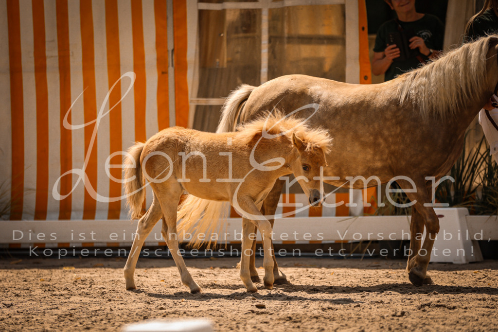 02.DoSR00025 | Leoni Ertmer Photography - Realisiert mit Pictrs.com