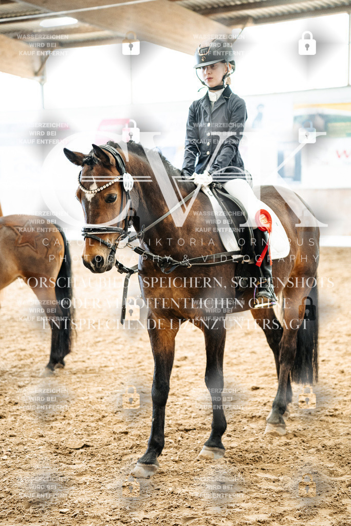 CK703122 | Turnierfotografie Pferdefotografie Trier Rheinland-Pfalz Pferdesport Reitsport Tierfotografie Sportfotografie Pferdevideo Pferdevideografie Equestrianvideography equestrianphotography  - Realisiert mit Pictrs.com