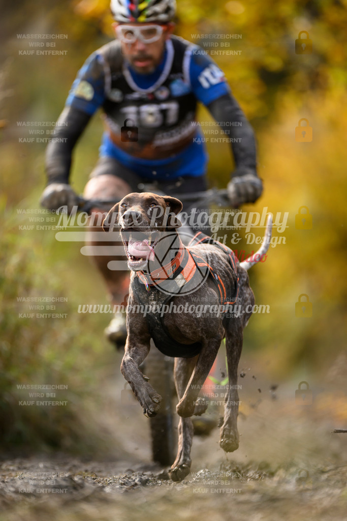 MompixPhotography_ICF_WC_2024_SA_Bike_-284 | PayLife