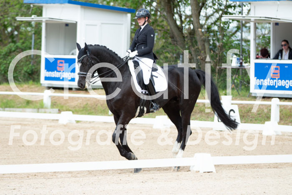 IMG_6065 | Creatify Fotografie