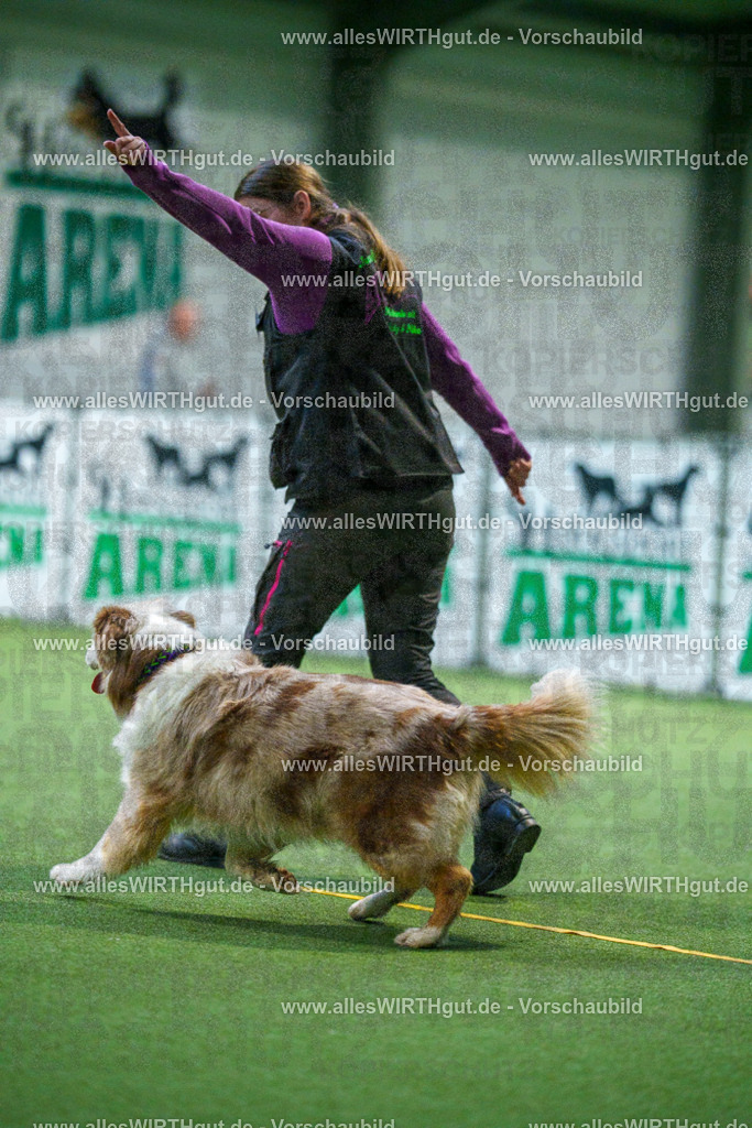 7R503859 | Professionelle Tierfotografie in Mönchengladbach von Daniel Wirth (allesWIRTHgut). Liebevolle & natürliche Bilder von Hunden & Katzen für unvergessliche Erinnerungen.