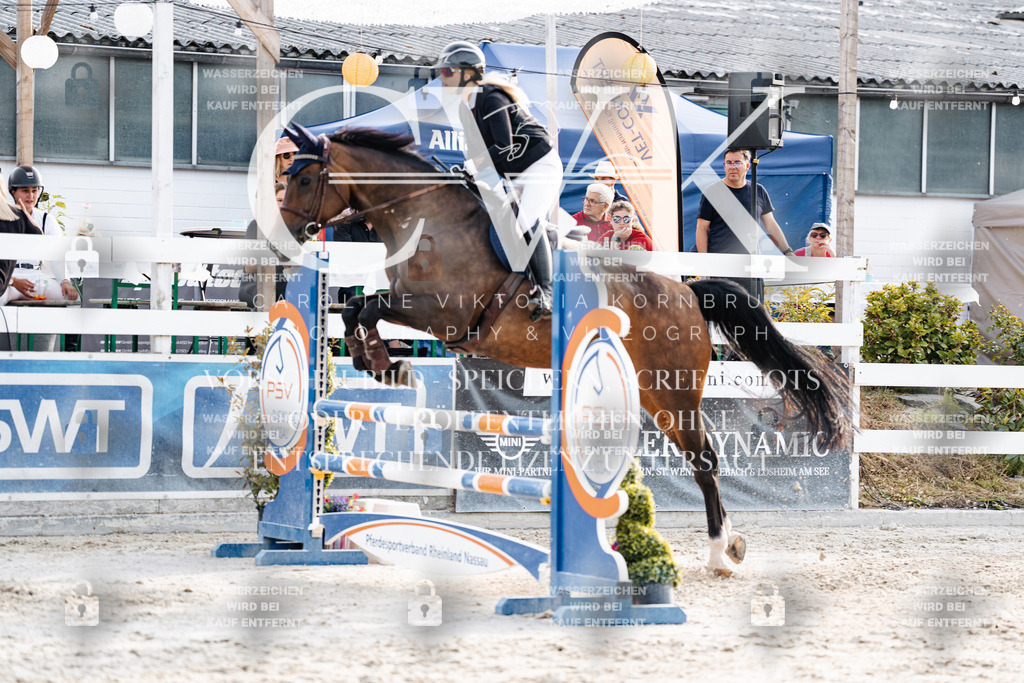 CK907082 | Turnierfotografie Pferdefotografie Trier Rheinland-Pfalz Pferdesport Reitsport Tierfotografie Sportfotografie Pferdevideo Pferdevideografie Equestrianvideography equestrianphotography  - Realisiert mit Pictrs.com