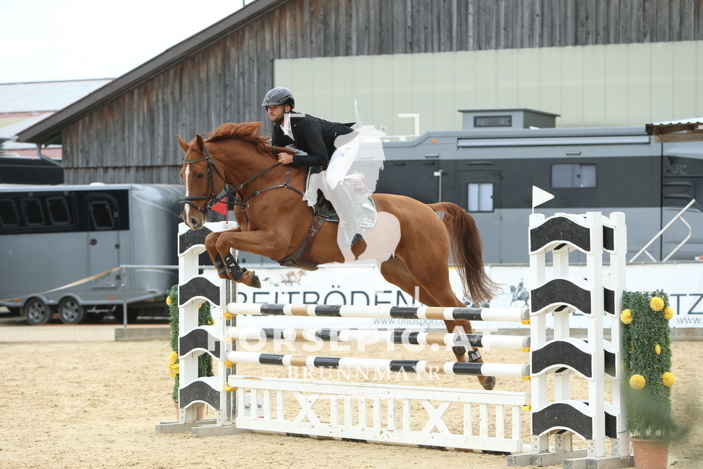 DL2Q6794 | Willkommen bei Brunnmayr - Design & Fotografie – Ihrem Spezialisten für Reitturniere und Pferdeveranstaltungen in Oberösterreich, Salzburg und Bayern! Seit über 17 Jahren sind wir leidenschaftlich dabei.