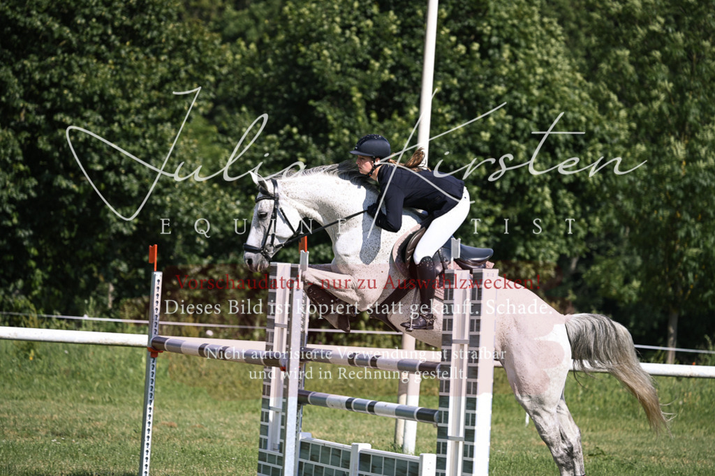 DSC_1059 | Pferde- und Turnierfotografie in Westsachsen. Pferdeportraits, Auftragszeichnungen und intuitive Kunst.