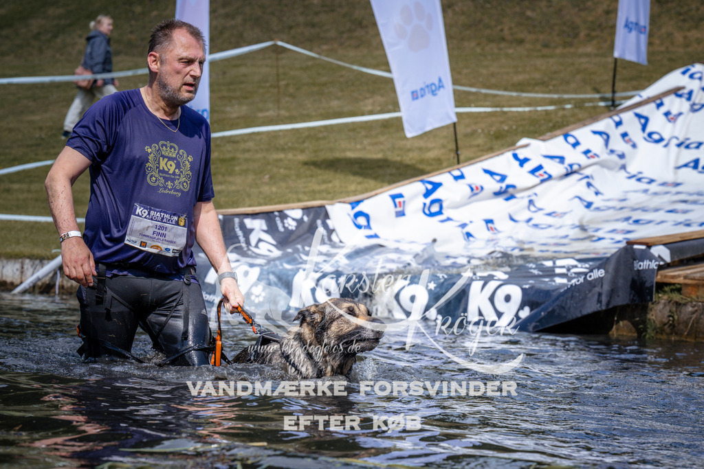 _ZZ936610941 | kk-dogfotos