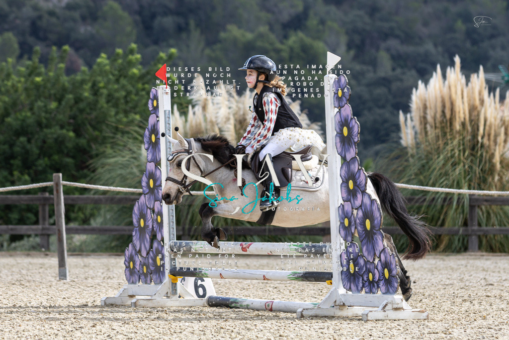 IMG_2313 | s-jay-photography - Realisiert mit Pictrs.com