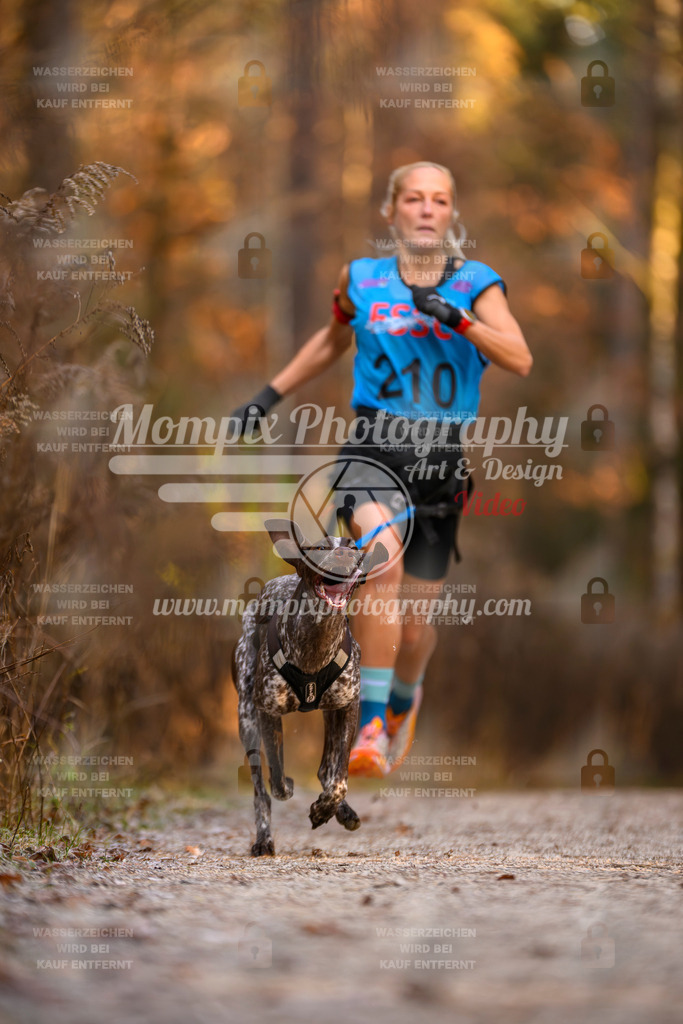 MompixPhotography_DM_AKDM_SO_2025_-15 | PayLife