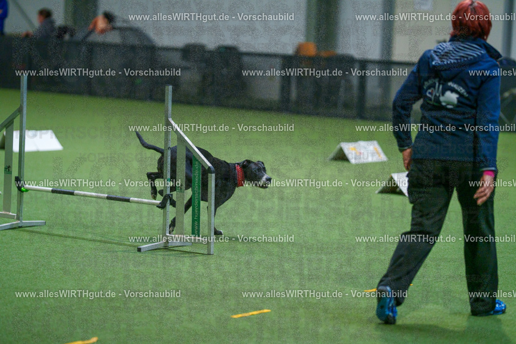 7R503203 | Professionelle Tierfotografie in Mönchengladbach von Daniel Wirth (allesWIRTHgut). Liebevolle & natürliche Bilder von Hunden & Katzen für unvergessliche Erinnerungen.